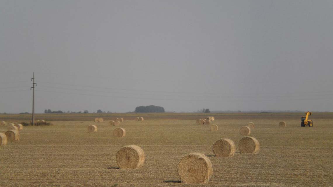 Autumn in Vojvodina