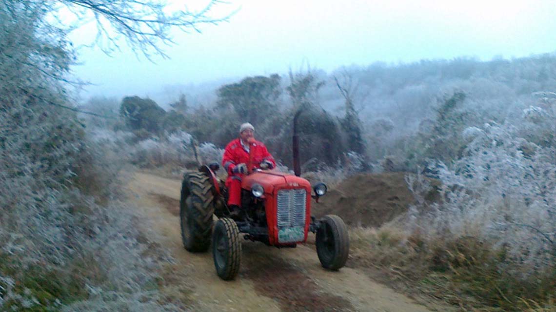 Fruška gora, – 7 °C