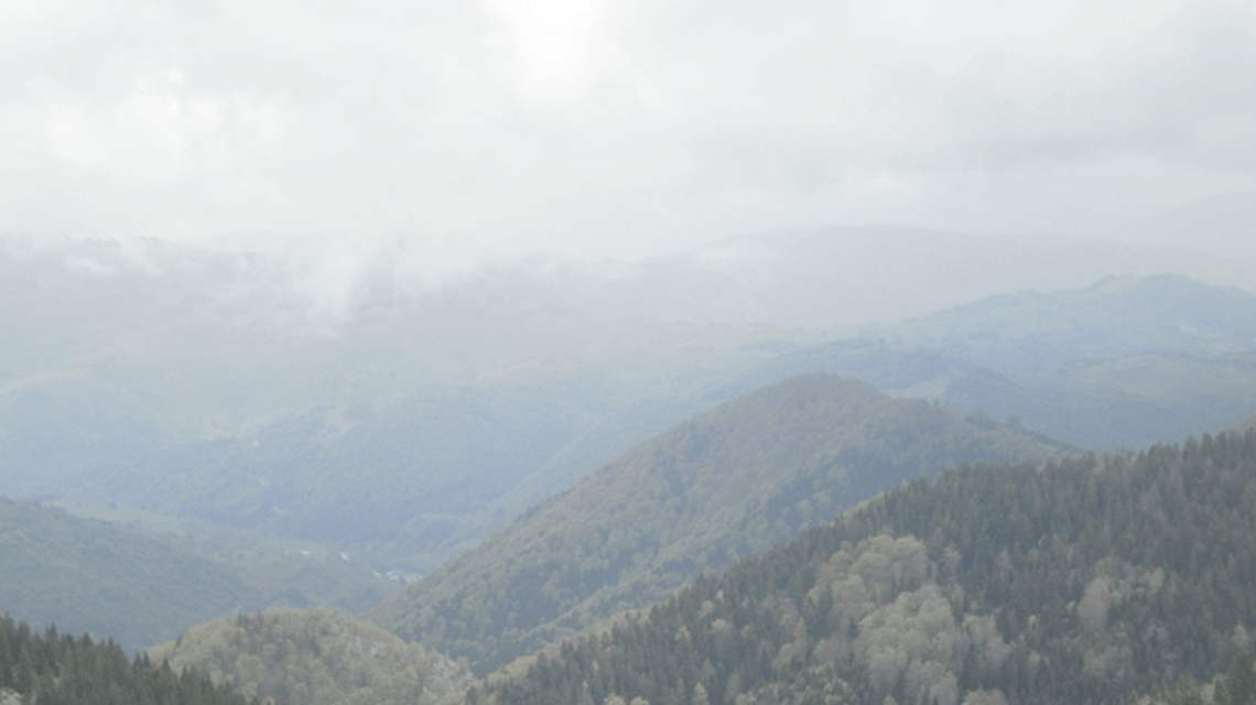 Kopaonik in May