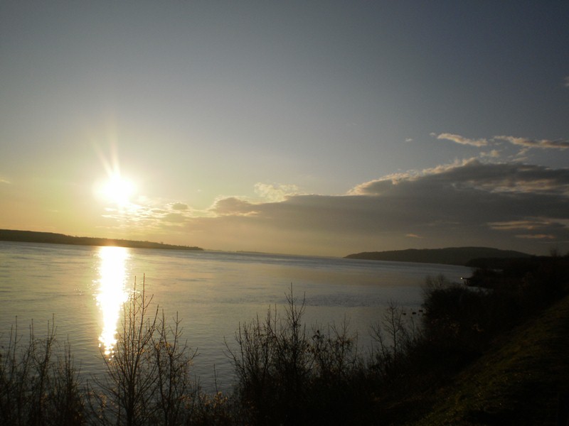 Morning in the Negotin region